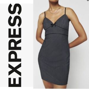 NWT Express Dress